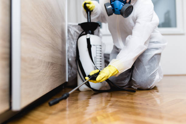 Best Residential Pest Control  in Maple Heights, OH