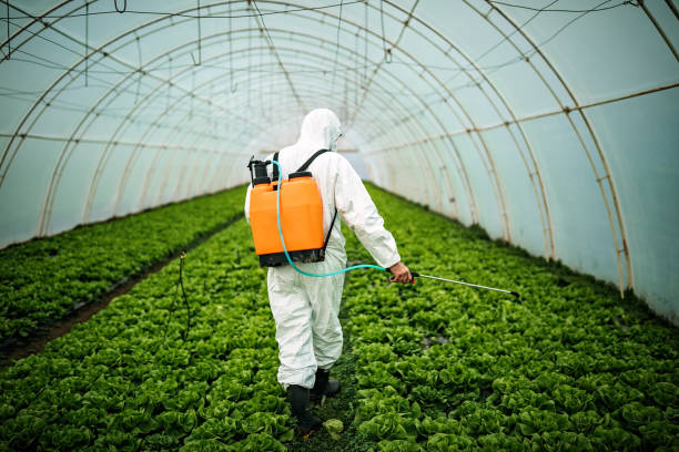 Best Local Pest Control Services  in Maple Heights, OH
