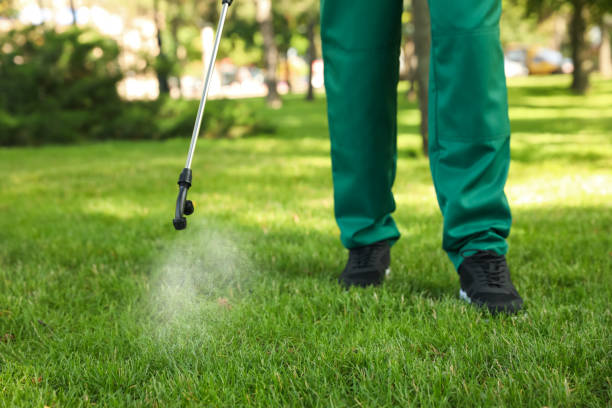 Reliable Maple Heights, OH Pest Control Solutions
