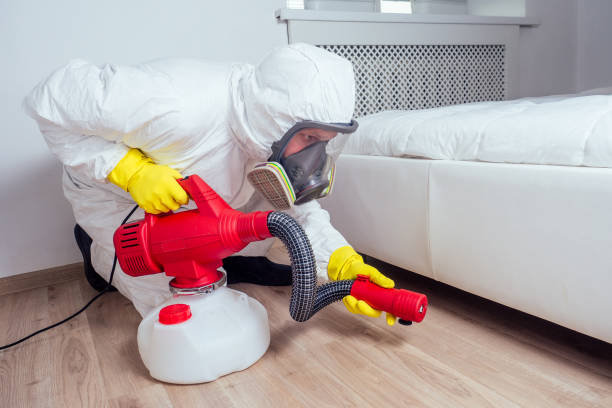 Best Mosquito Control Services  in Maple Heights, OH