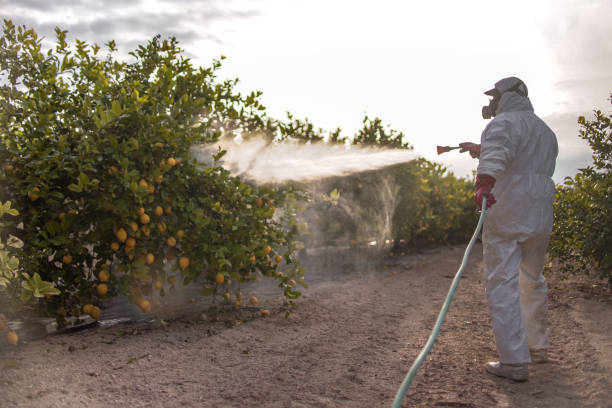 Best Bed Bug Extermination  in Maple Heights, OH
