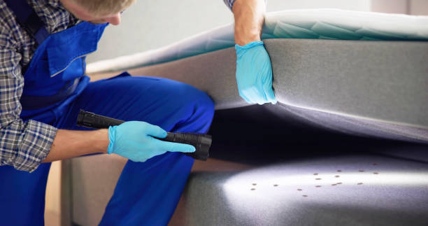 Best Pest Removal Services  in Maple Heights, OH