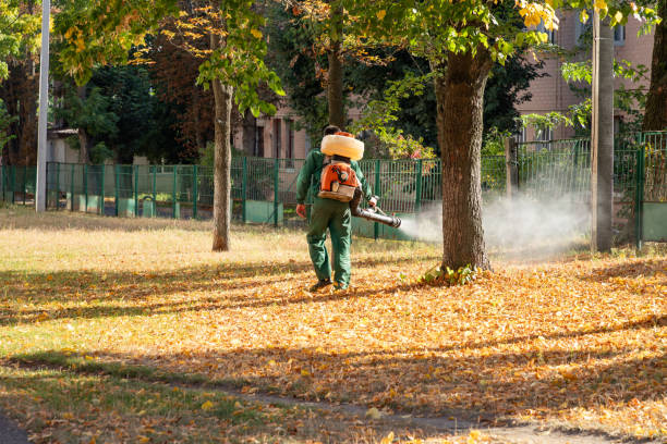 Best Wildlife Control Services  in Maple Heights, OH