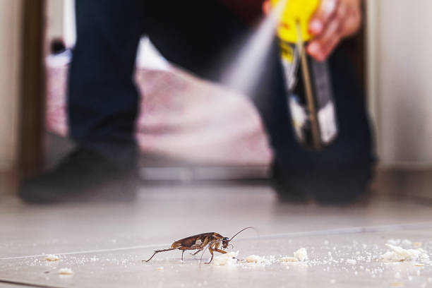 Best Exterminator Services  in Maple Heights, OH