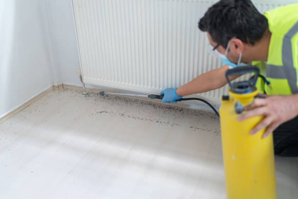 Best Residential Pest Control  in Maple Heights, OH